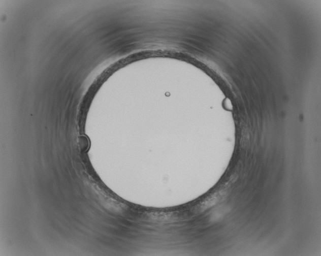 X0000062900927200602101803