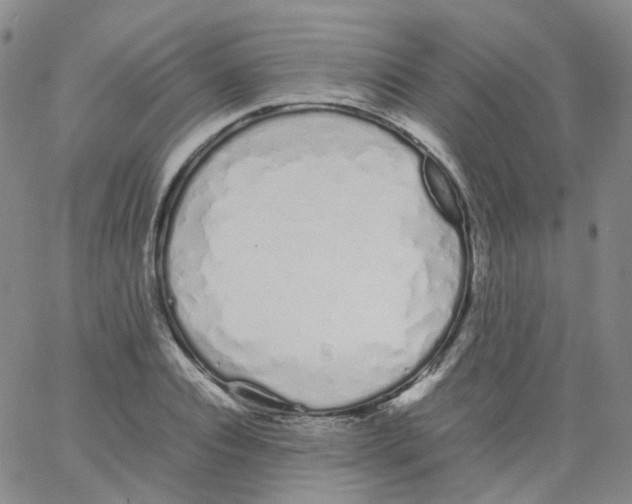 X0000062900928200602101803