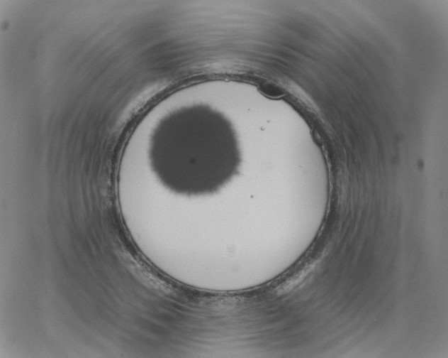 X0000062900930200602101803