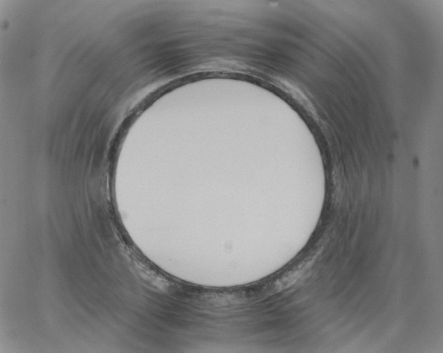 X0000062900931200602101803