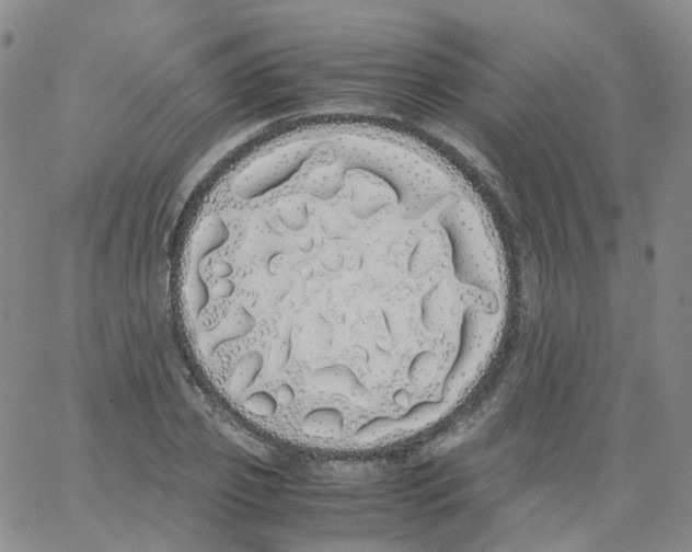 X0000062900933200602101803