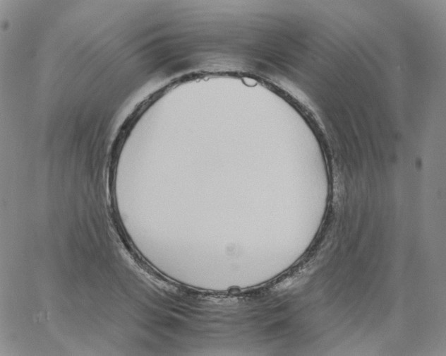 X0000062900935200602101803