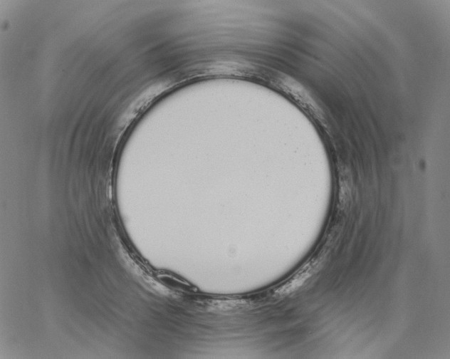 X0000062900938200602101803