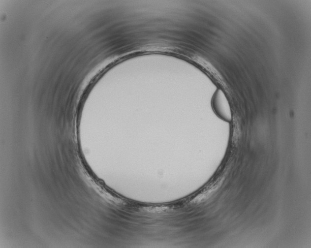 X0000062900939200602101803