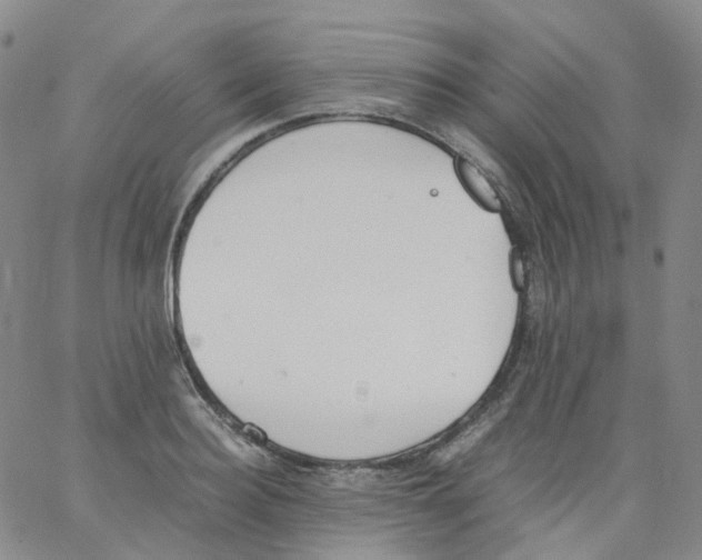 X0000062900940200602101803