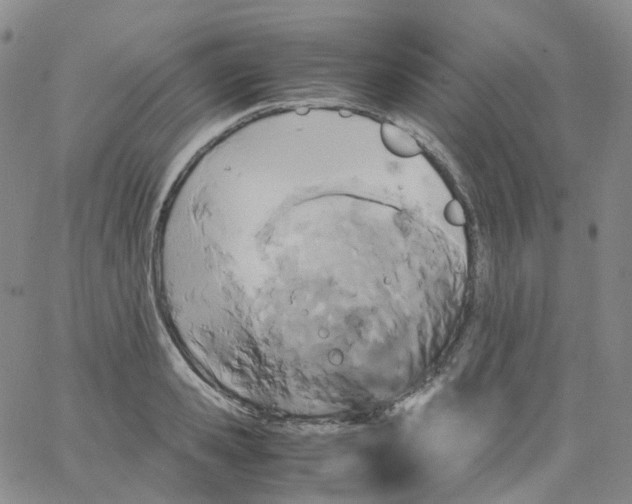 X0000062900941200602101803