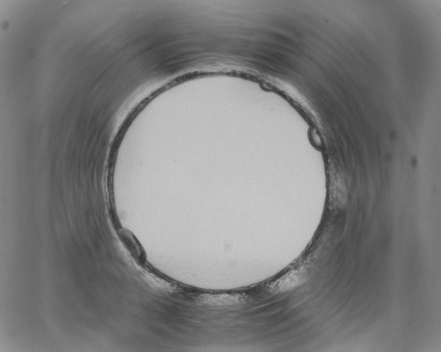 X0000062900943200602101803