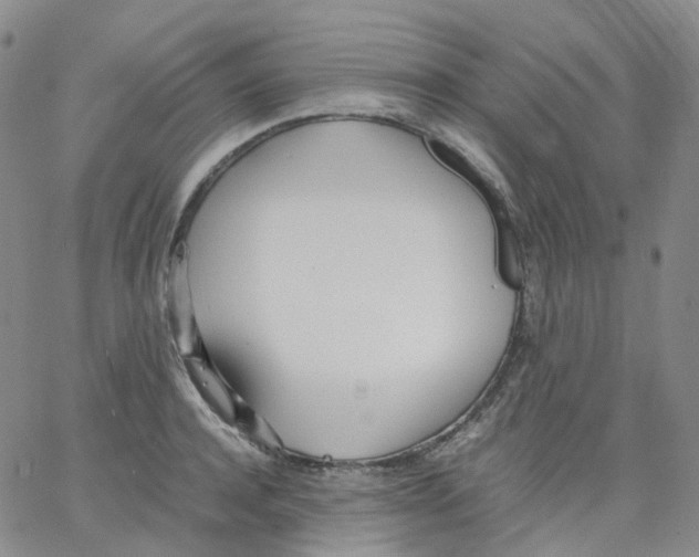 X0000062900944200602101803