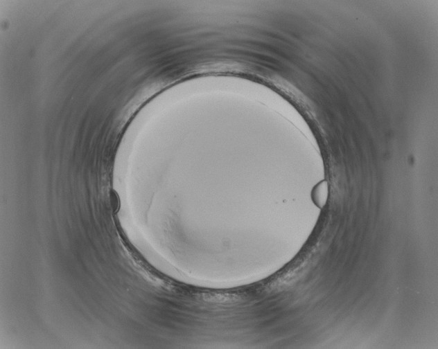 X0000062900945200602101803