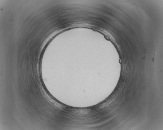 X0000062900947200602101803