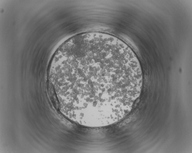 X0000062900948200602101803