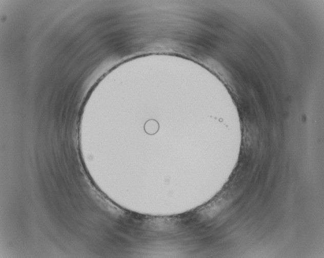 X0000062900950200602101803