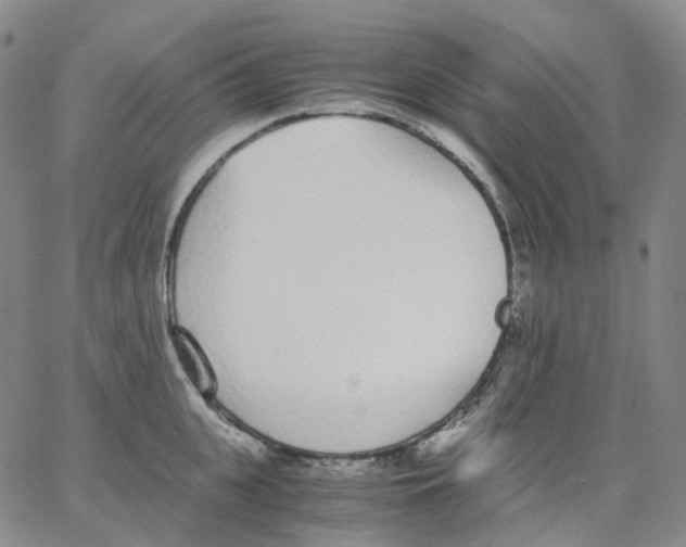 X0000062900951200602101803