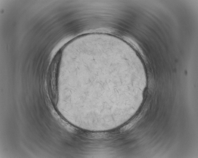 X0000062900952200602101803