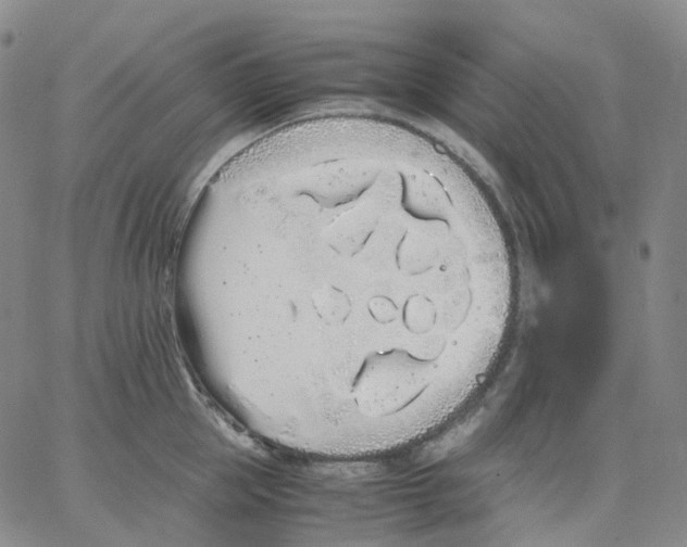 X0000062900953200602101803