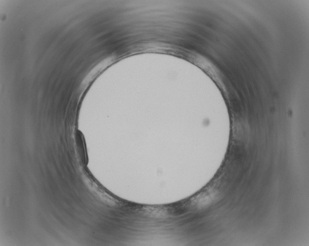 X0000062900954200602101803