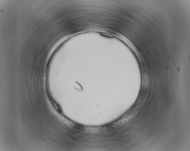 X0000062900955200602101803