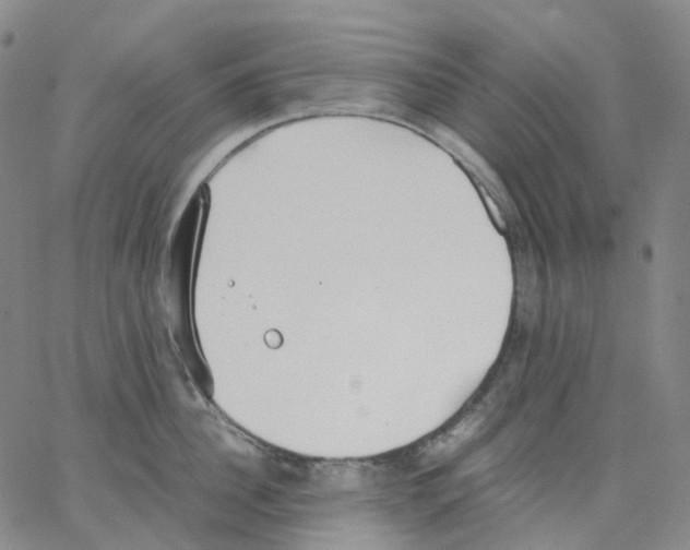 X0000062900956200602101803