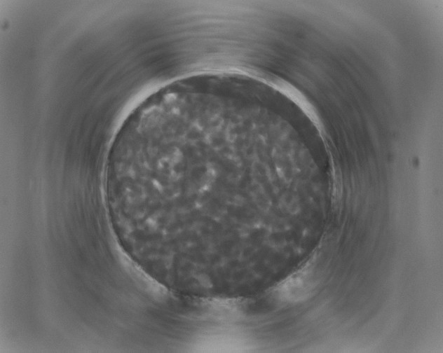 X0000062900958200602101803