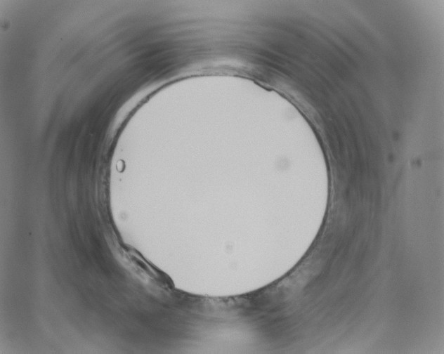 X0000062900960200602101803