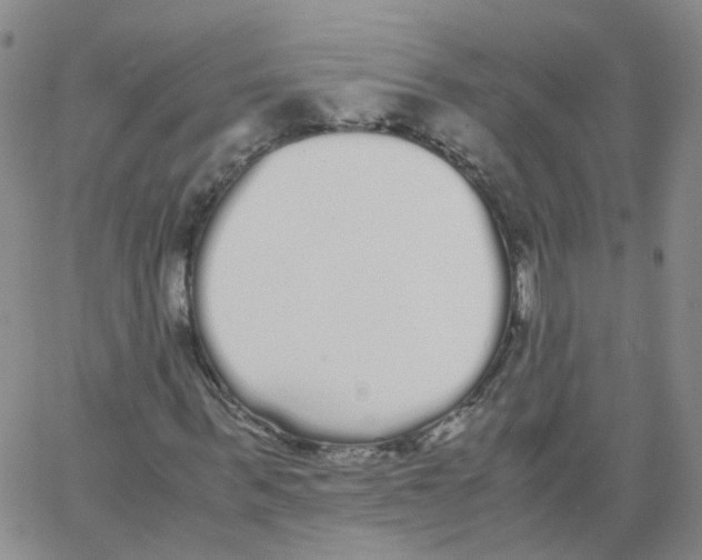 X0000062900963200602101803