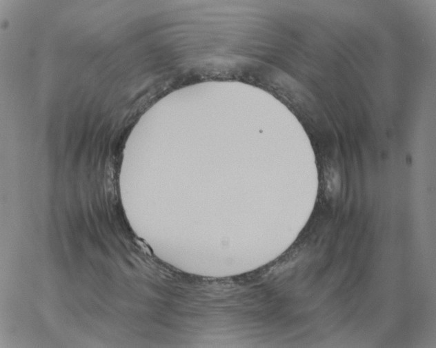 X0000062900964200602101803