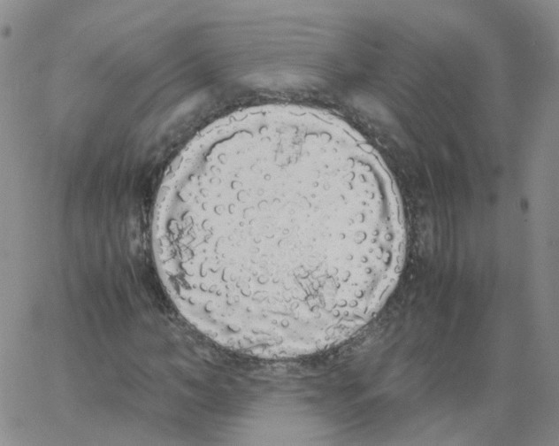 X0000062900966200602101802