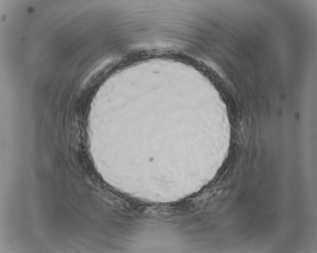 X0000062900967200602101802