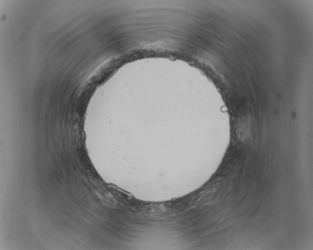 X0000062900968200602101802