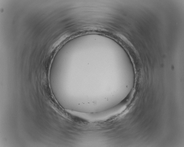 X0000062900969200602101802