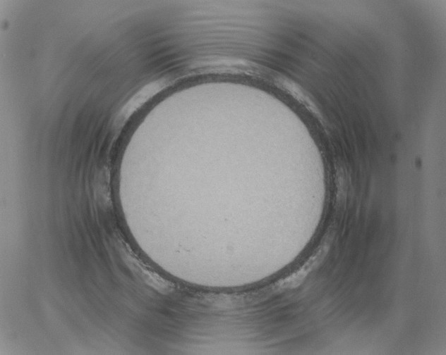 X0000062900970200602101802