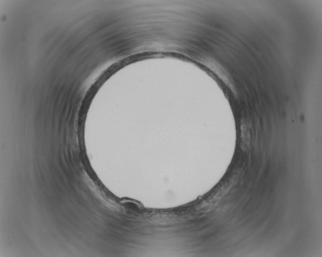 X0000062900972200602101802