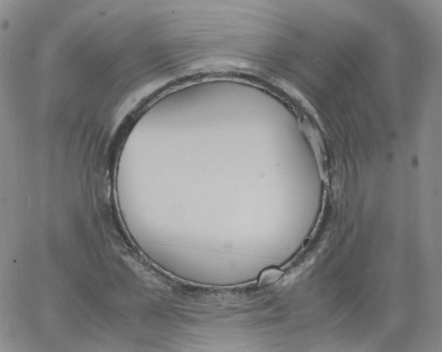 X0000062900973200602101802