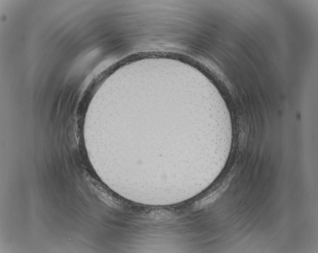 X0000062900974200602101802