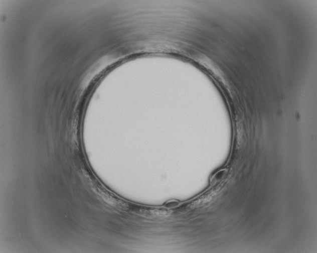 X0000062900975200602101802