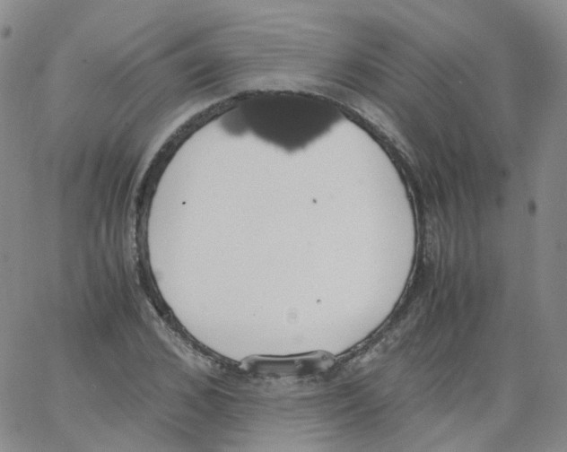 X0000062900976200602101802