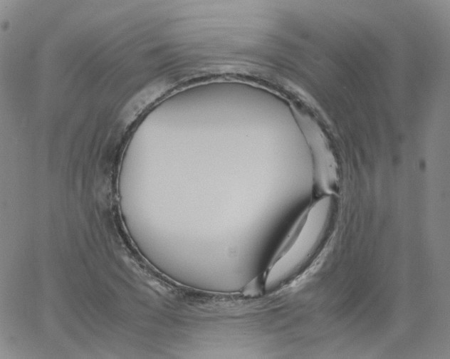 X0000062900977200602101802