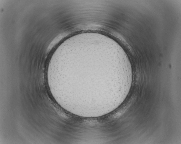 X0000062900978200602101802