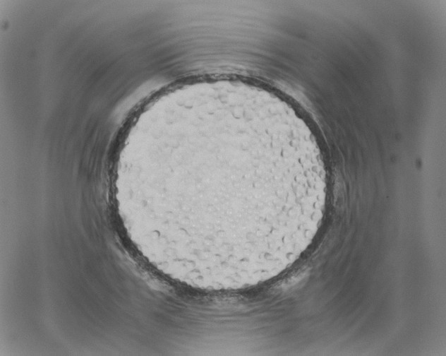 X0000062900979200602101802