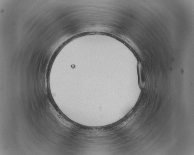 X0000062900980200602101802