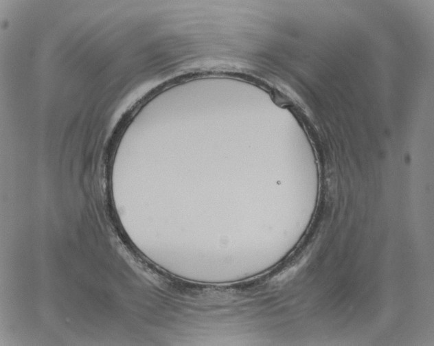 X0000062900981200602101802