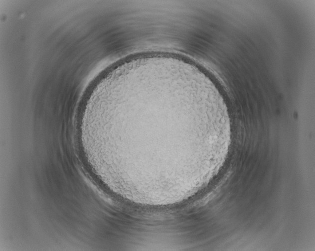 X0000062900982200602101802