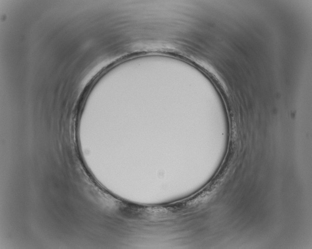 X0000062900983200602101802