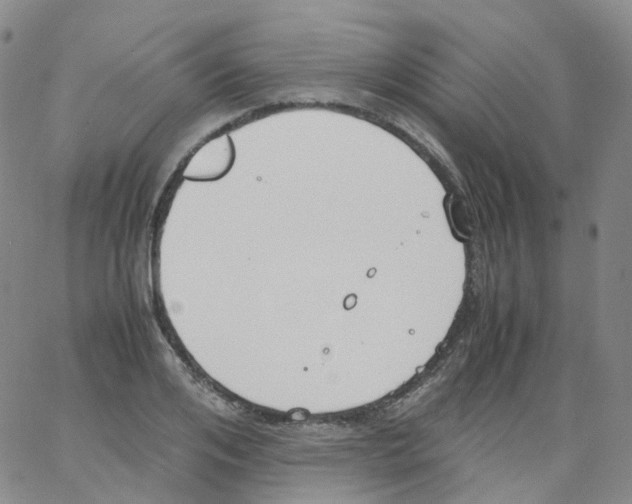 X0000062900984200602101802