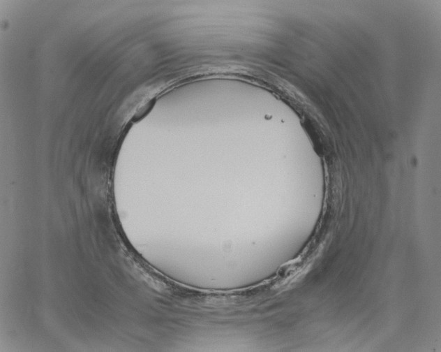 X0000062900985200602101802