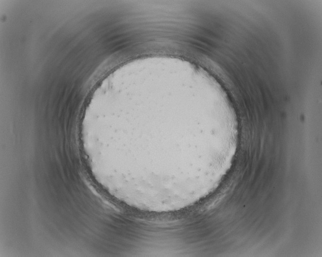 X0000062900986200602101802