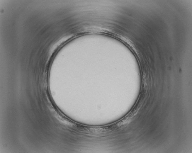 X0000062900987200602101802