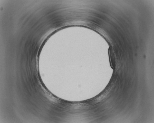 X0000062900988200602101802