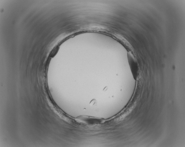 X0000062900989200602101802