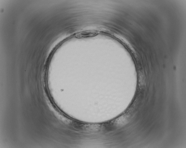 X0000062900991200602101802